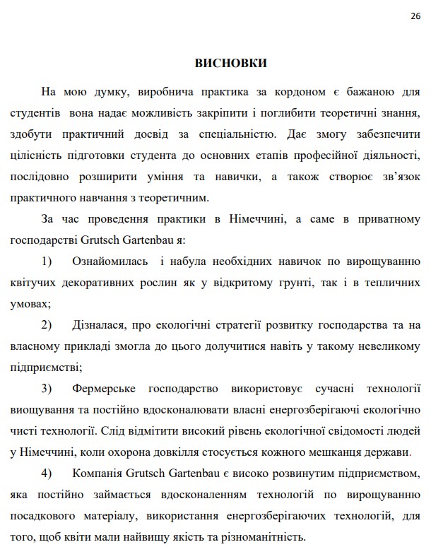 Висновки приклад 2-картинка