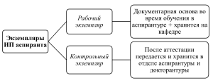 Виды экземпляров ИП аспиранта - картинка