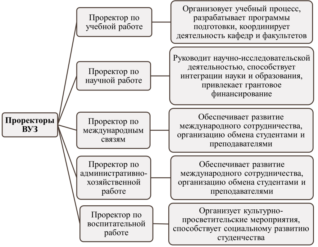 Проректоры ВУЗ-картинка